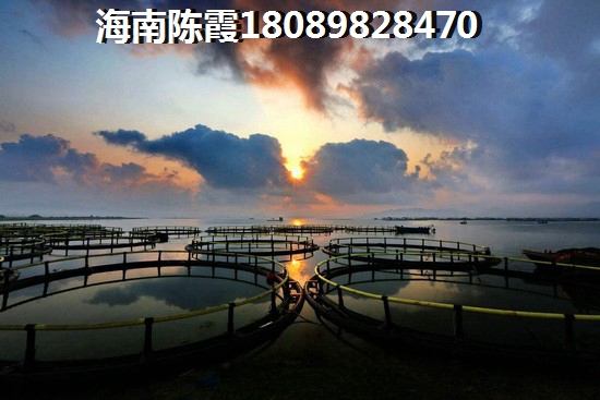 来福士 两居  户型图