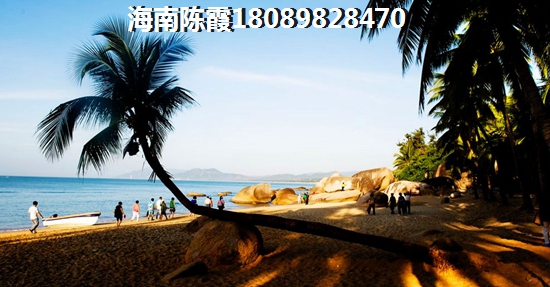 晋鹏山台山A1户型-02 三居  户型图