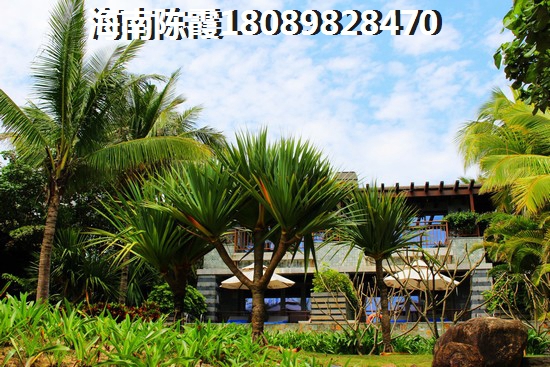 七星恋城 三居  户型图