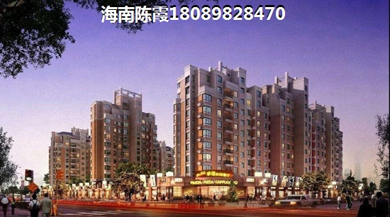 隆鑫花漾嶺 一居  户型图