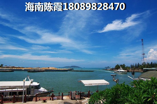 兰亭雅舍 一居  户型图