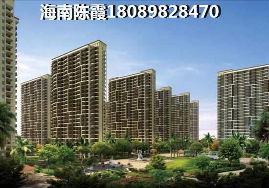 龙湖睿城 复式  户型图