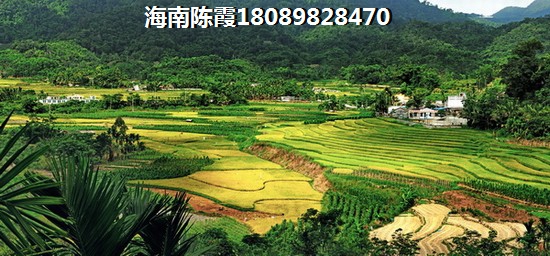 春风与辰3室2厅1厨2卫建面98.00㎡