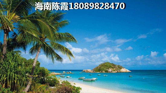 麓宸活动现场