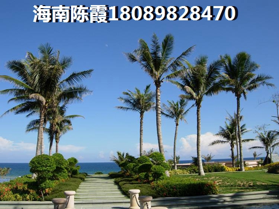 麓宸证照