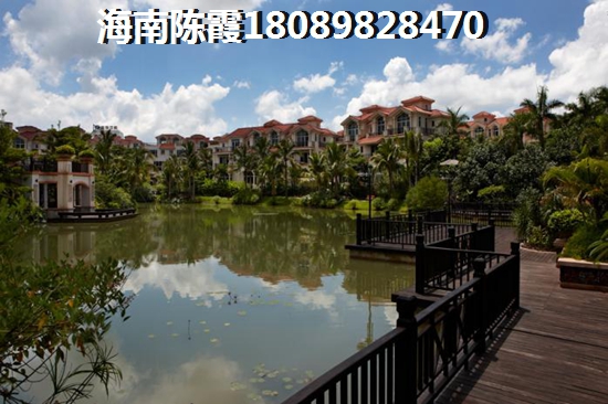 禹洲博学家实景图