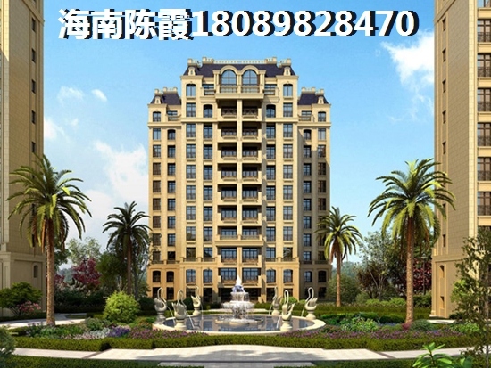 武汉城建·电建地产丨洺悦国际周边配套